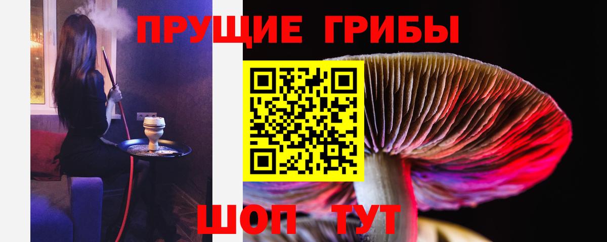 что такое   Псилоцибиновые грибы ЛСД  Вход с VPN  Касимов 